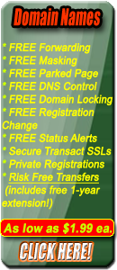 $1.99 Domain Names
