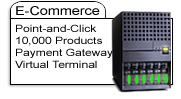 E-commerce Web Hosting